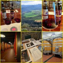 FB_IMG_1769964286772