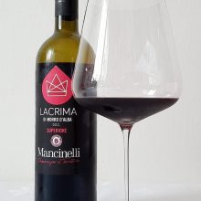 Stefano mancinelli 03